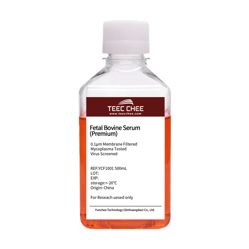 Fetal Bovine Serum(P
